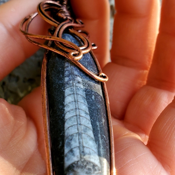 New Oversized Orthoceras Fossil Wire Wrapped Pendant. - Picture 5 of 15